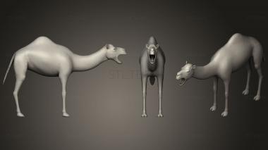 3D model Dromedary (STL)